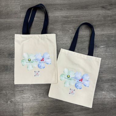TÚI VẢI CANVAS GIÁ RẺ - TÚI VẢI CANVAS IN LOGO