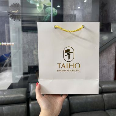 TÚI GIẤY IN LOGO TAIHO - TÚI GIẤY GIÁ RẺ