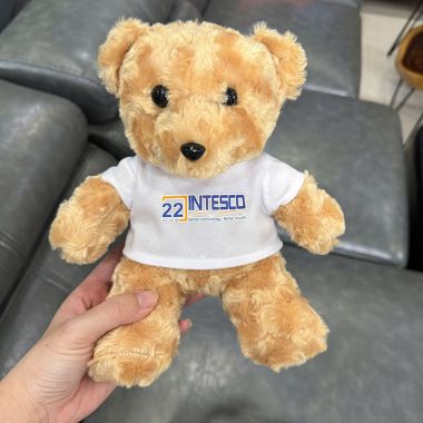 GỐI BÔNG TEDDY MẶC ÁO LÔNG XOẮN IN LOGO