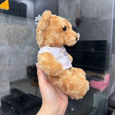 GỐI BÔNG TEDDY MẶC ÁO LÔNG XOẮN IN LOGO