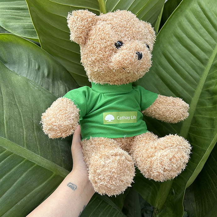 GẤU BÔNG TỐT NGHIỆP - GẤU TEDDY LÔNG XÙ GIÁ RẺ