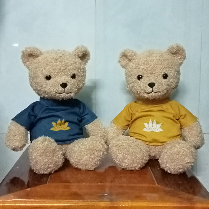 GẤU TEDDY TỐT NGHIỆP LÔNG XÙ