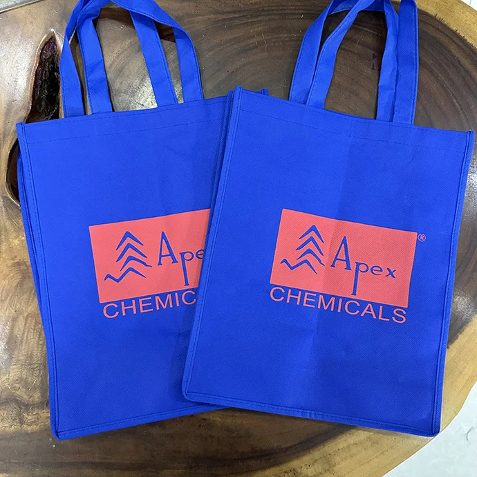 TÚI VẢI KHÔNG DỆT IN LOGO THEO YÊU CẦU