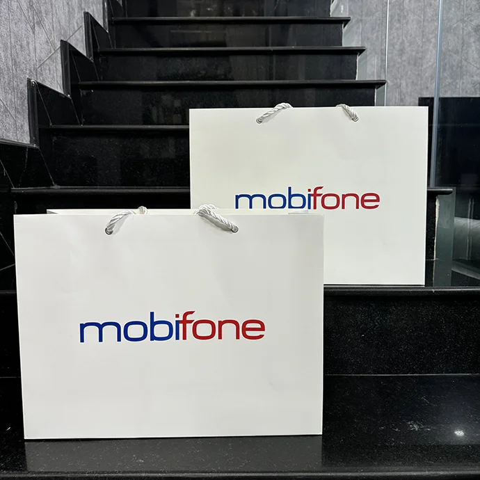 TÚI GIẤY IN LOGO - GIA CÔNG TÚI GIẤY GIÁ RẺ