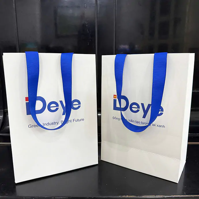 TÚI GIẤY IN LOGO GIÁ RẺ - TÚI GIẤY QUÀ TẶNG DOANH NGHIỆP