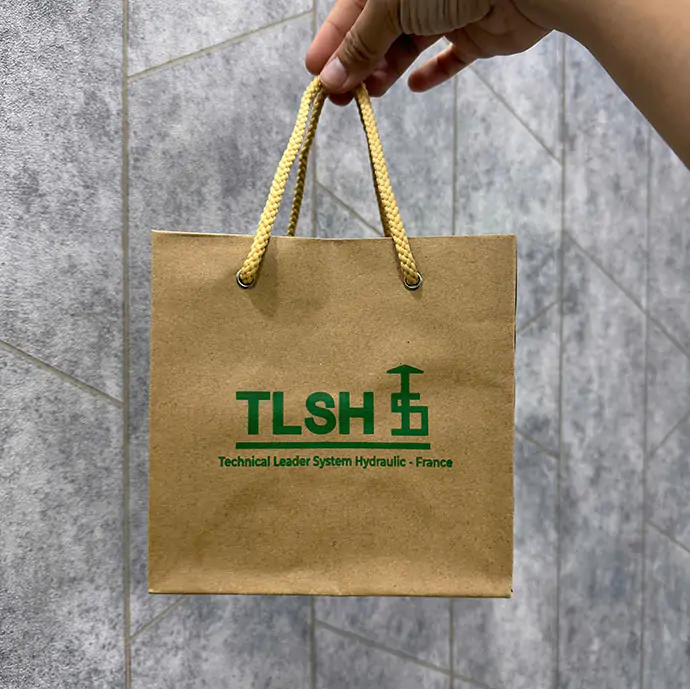 TÚI GIẤY IN LOGO – TÚI GIẤY KRAFT IN LOGO THEO YÊU CẦU